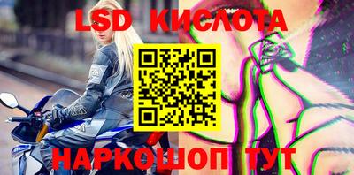 spice Кунгур