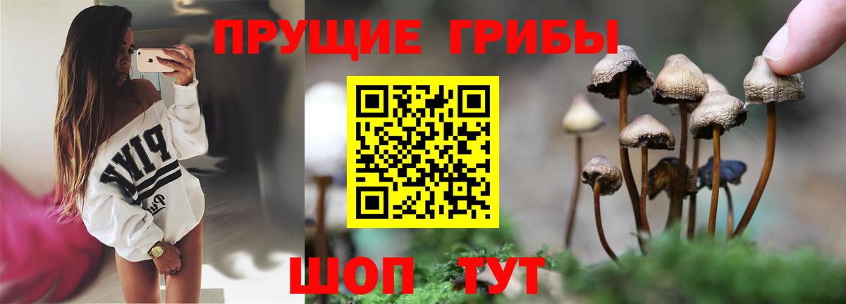 Галлюциногенные грибы ЛСД Кимры